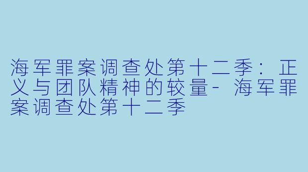 海军罪案调查处第十二季：正义与团队精神的较量-海军罪案调查处第十二季