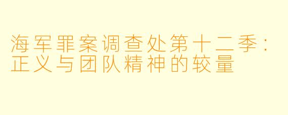海军罪案调查处第十二季：正义与团队精神的较量