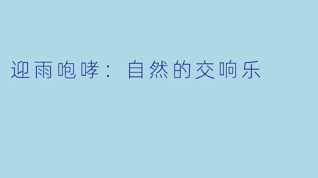 迎雨咆哮:自然的交响乐
