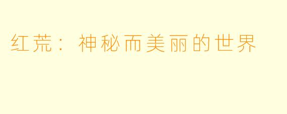 红荒：神秘而美丽的世界