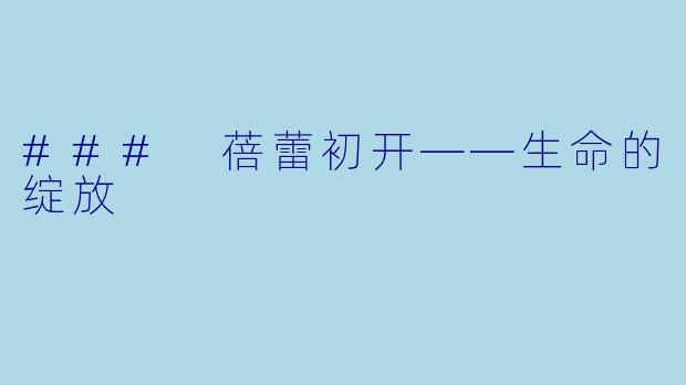 ### 蓓蕾初开——生命的绽放