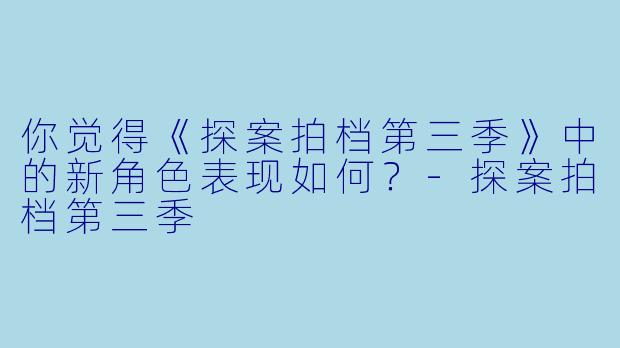 你觉得《探案拍档第三季》中的新角色表现如何？