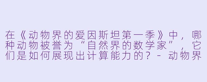 在《动物界的爱因斯坦第一季》中,哪种动物被誉为“自然界的数学家”,它们是如何展现出计算能力的?