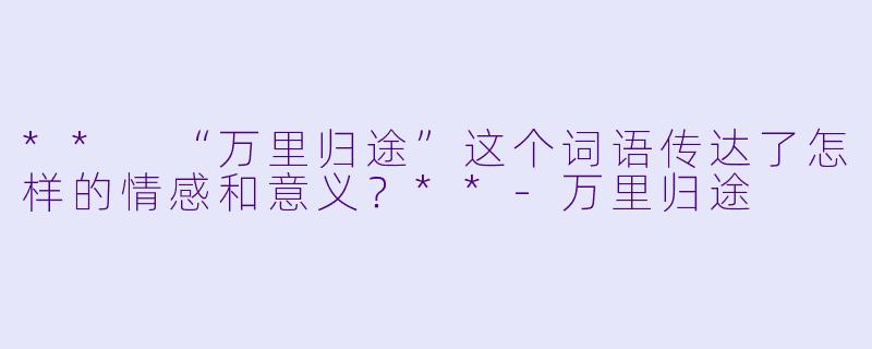 ** “万里归途”这个词语传达了怎样的情感和意义？**