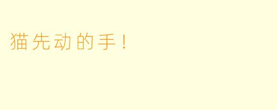 猫先动的手！