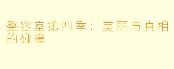 整容室第四季：美丽与真相的碰撞