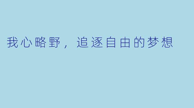 我心略野，追逐自由的梦想