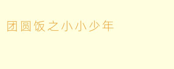 团圆饭之小小少年