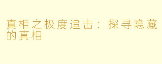 真相之极度追击：探寻隐藏的真相