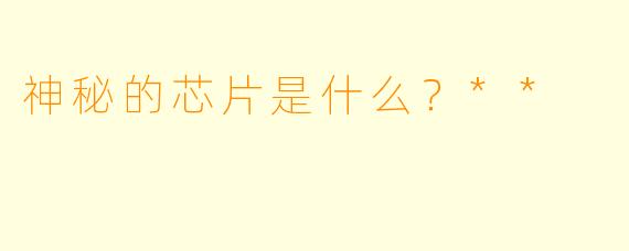神秘的芯片是什么？**