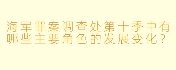 海军罪案调查处第十季中有哪些主要角色的发展变化?