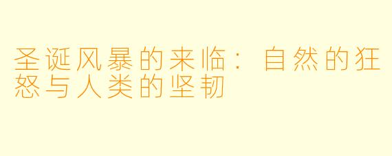 圣诞风暴的来临：自然的狂怒与人类的坚韧