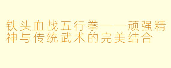 铁头血战五行拳——顽强精神与传统武术的完美结合