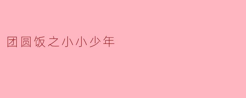 团圆饭之小小少年