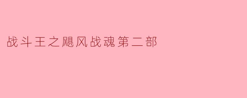 在《战斗王之飓风战魂第二部》中,主角面临了哪些新的挑战?