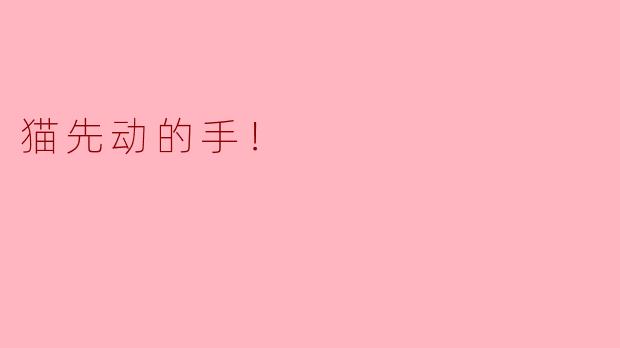 猫先动的手！