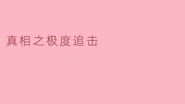 真相之极度追击:探寻隐藏的真相
