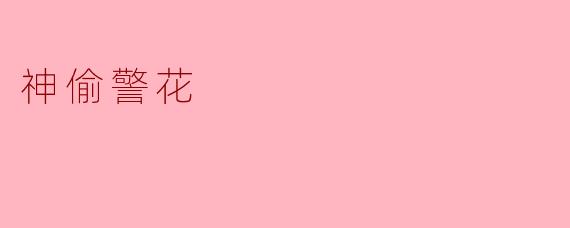 为什么《神偷警花》中的女主角既是一名优秀的警察,又是一名高明的小偷?**