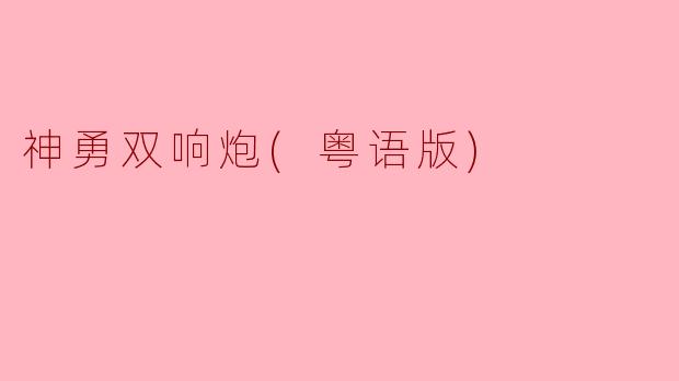你能简单介绍一下《神勇双响炮（粤语版）》的剧情吗？
