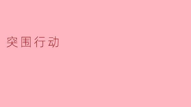 突围行动:打破困境的激情与勇气