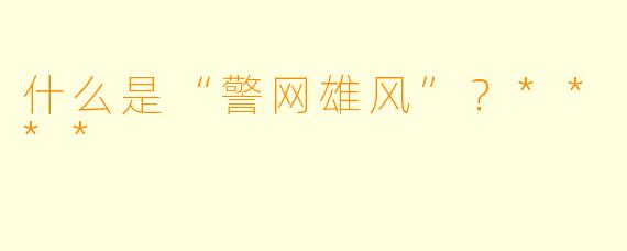 什么是“警网雄风”?****