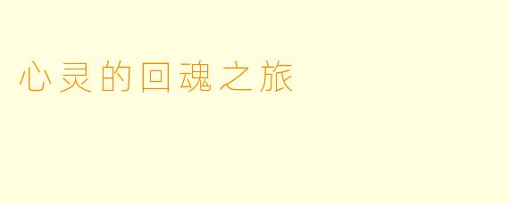 心灵的回魂之旅