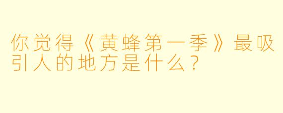你觉得《黄蜂第一季》最吸引人的地方是什么？