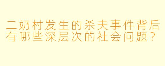 二奶村发生的杀夫事件背后有哪些深层次的社会问题?