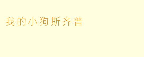 我的小狗斯齐普