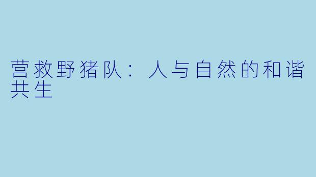 营救野猪队：人与自然的和谐共生
