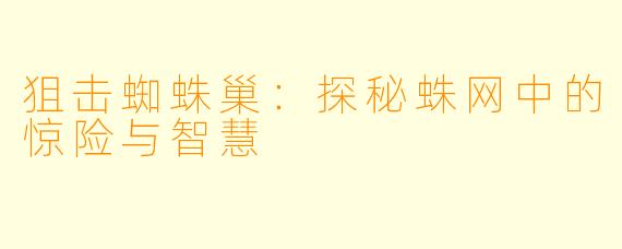 狙击蜘蛛巢：探秘蛛网中的惊险与智慧