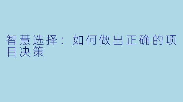 智慧选择:如何做出正确的项目决策