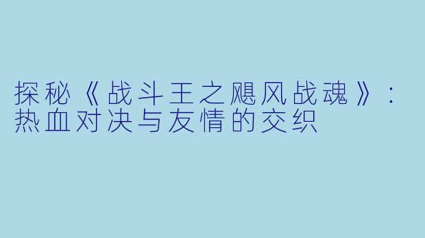 探秘《战斗王之飓风战魂》：热血对决与友情的交织