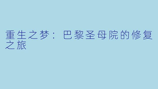 重生之梦：巴黎圣母院的修复之旅