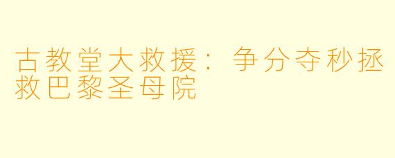 古教堂大救援：争分夺秒拯救巴黎圣母院