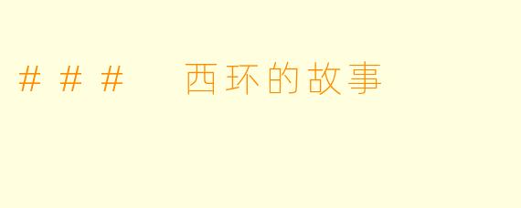 ### 西环的故事