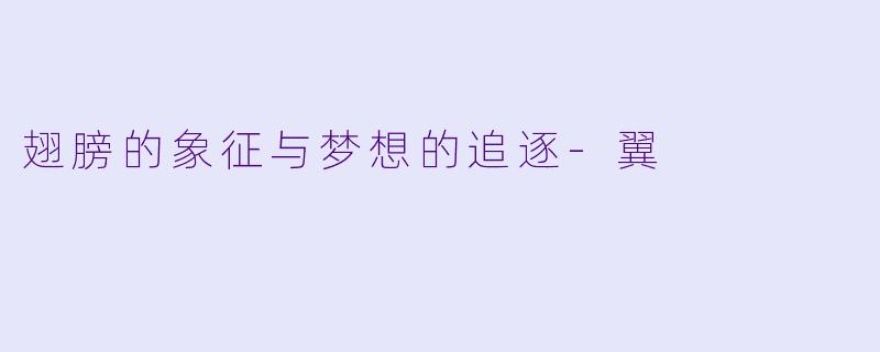 翅膀的象征与梦想的追逐