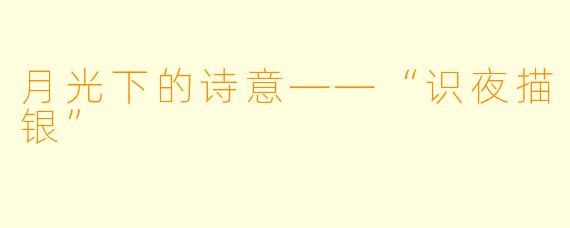月光下的诗意——“识夜描银”