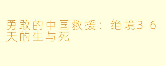 勇敢的中国救援：绝境36天的生与死
