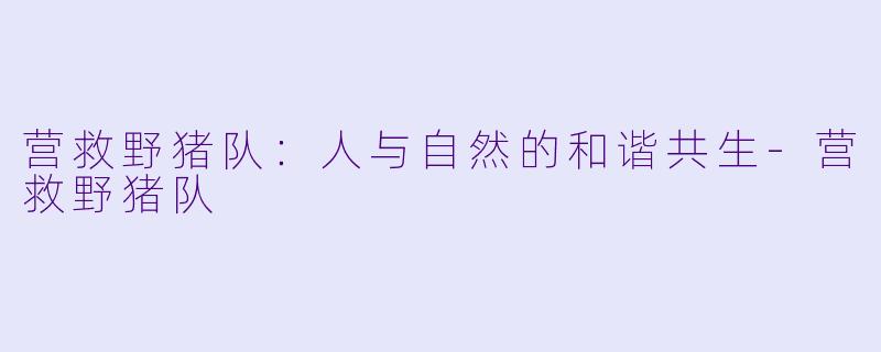 营救野猪队:人与自然的和谐共生