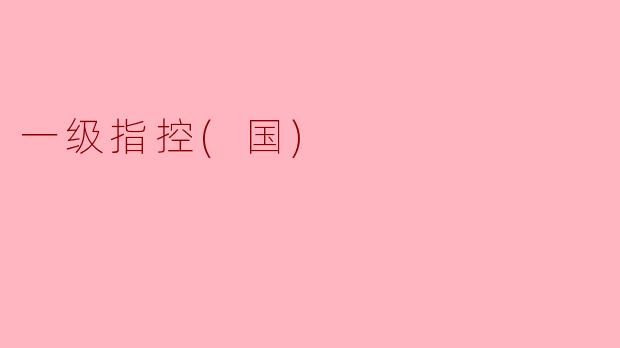 什么是一级指控（国）？**  **