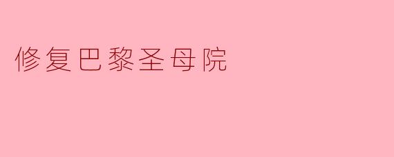 修复巴黎圣母院