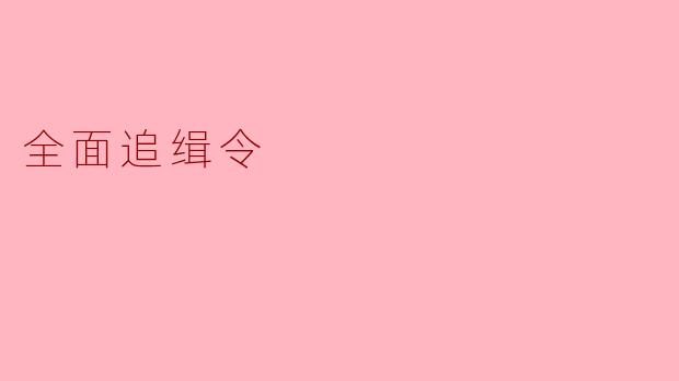 全面追缉令