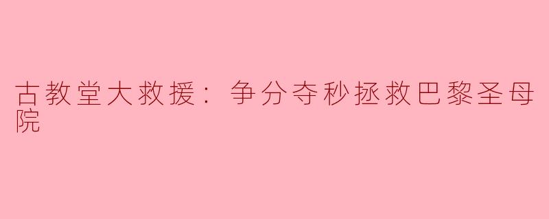古教堂大救援：争分夺秒拯救巴黎圣母院
