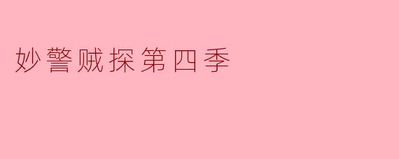 妙警贼探第四季