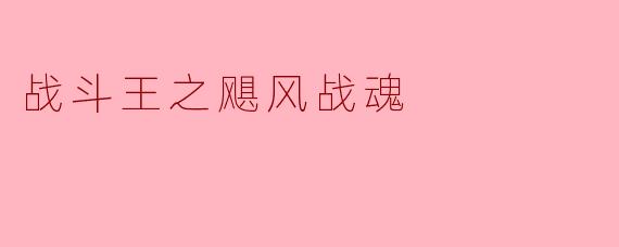 探秘《战斗王之飓风战魂》：热血对决与友情的交织