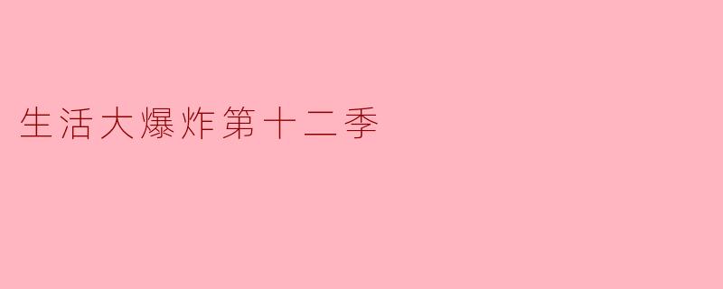 生活大爆炸第十二季