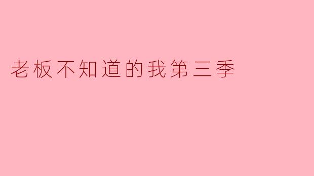 老板不知道的我第三季