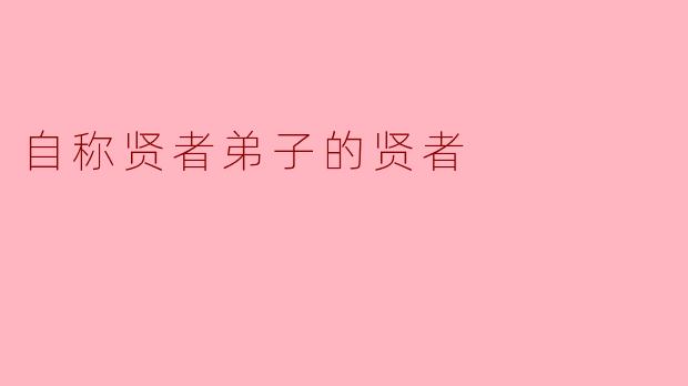 自称贤者弟子的贤者