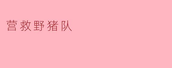 营救野猪队